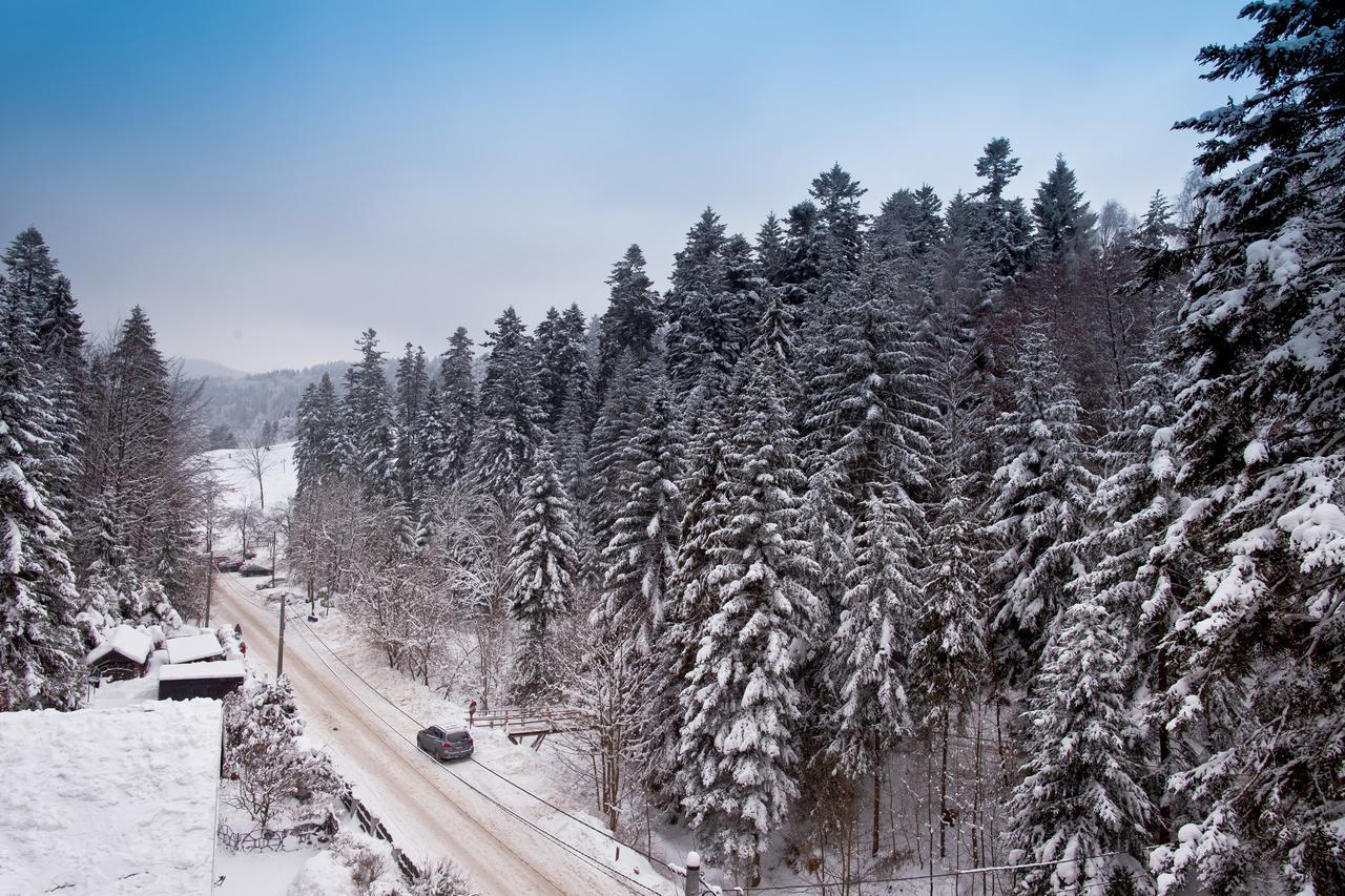 Apartamenty Sun & Snow Zielona Krynica-Zdrój Exteriör bild